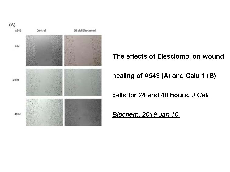 Elesclomol (STA-4783)