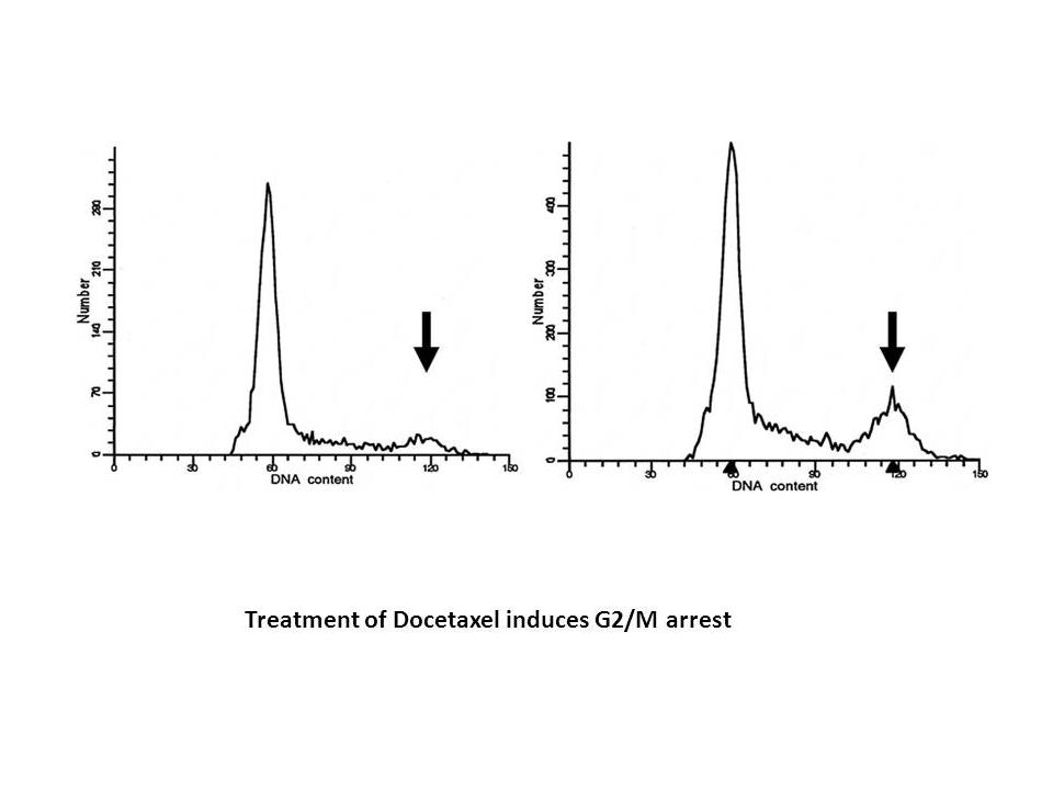 Docetaxel