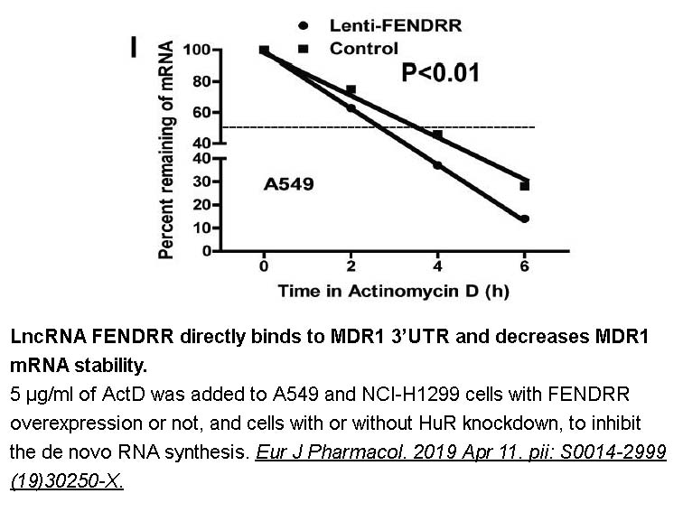 Actinomycin D Actinomycin D
