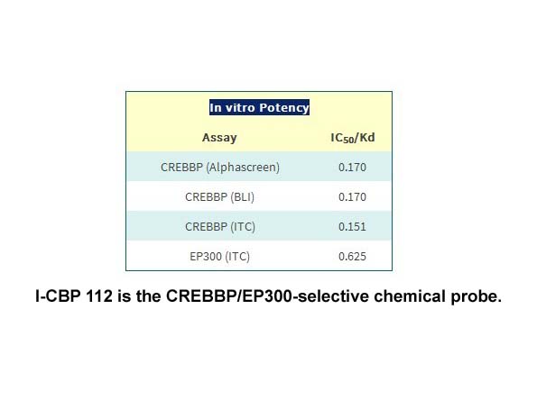 I-CBP 112