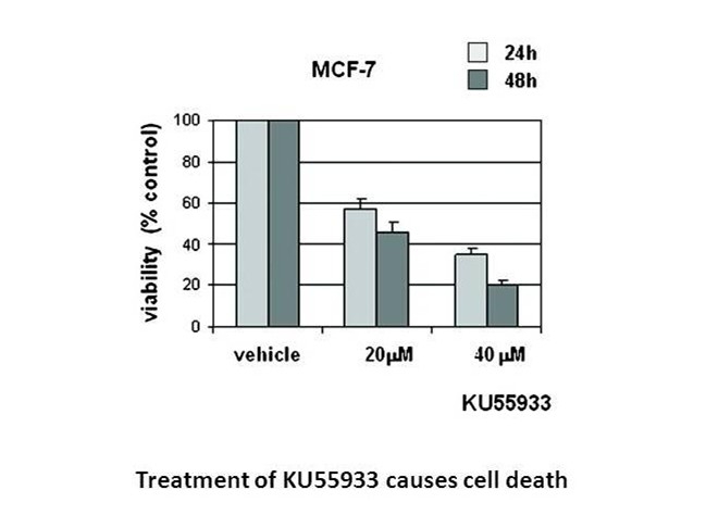 KU 55933