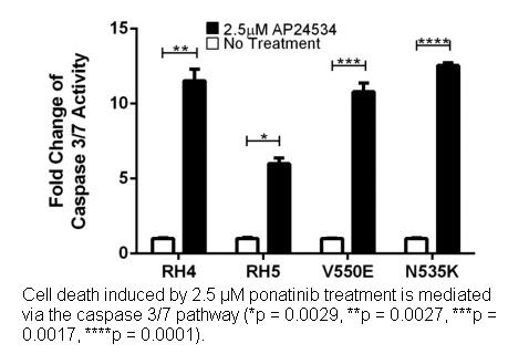 Ponatinib (AP24534)