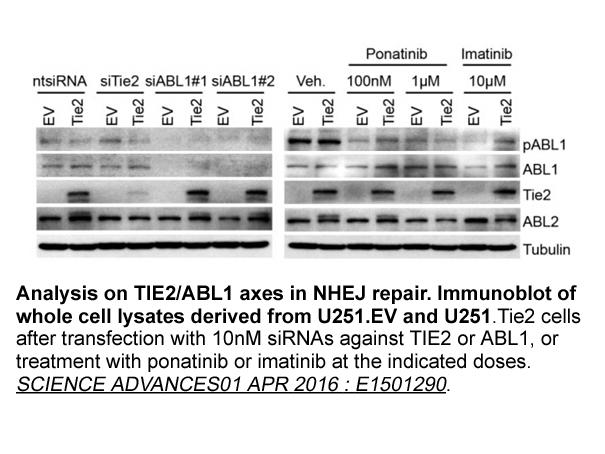 Ponatinib (AP24534)