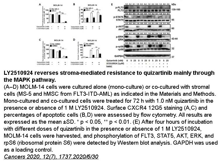 Quizartinib (AC220)