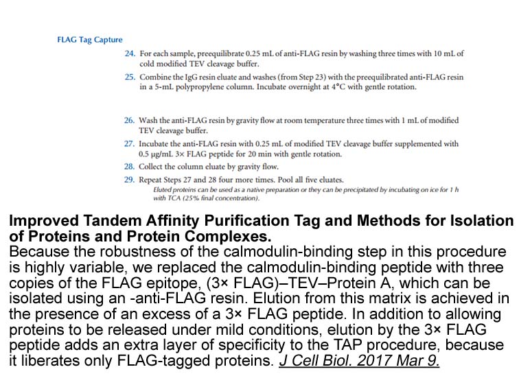 3X FLAG Peptide