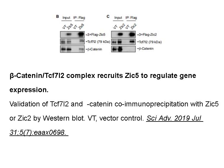 3X (DYKDDDDK) Peptide