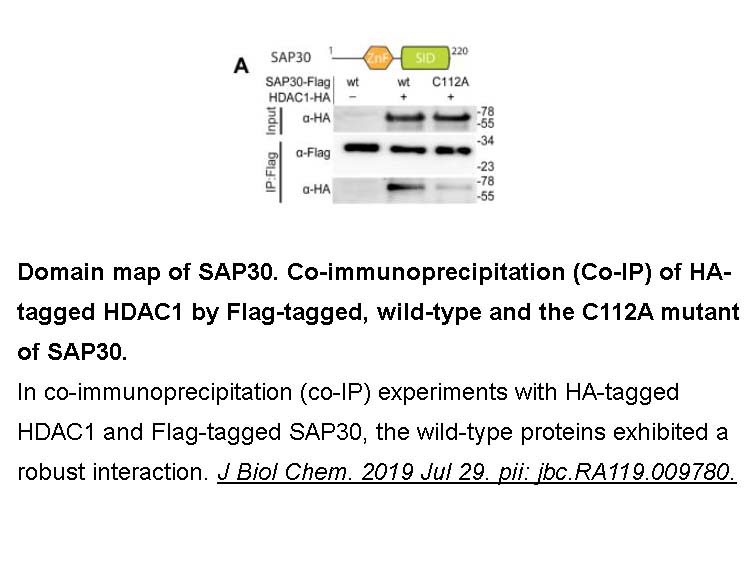 DYKDDDDK tag Peptide