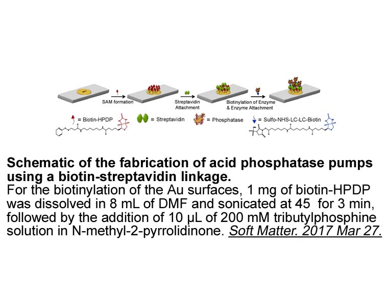 Biotin-HPDP