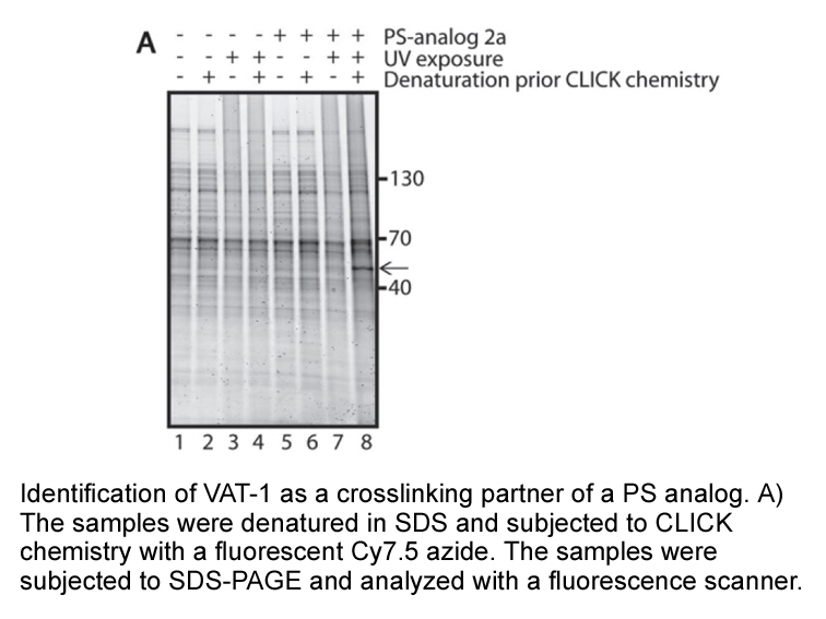 Cy7.5 azide (non-sulfonated)