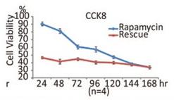 Rapamycin