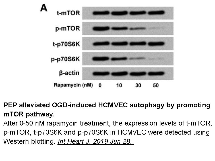 Rapamycin Rapamycin