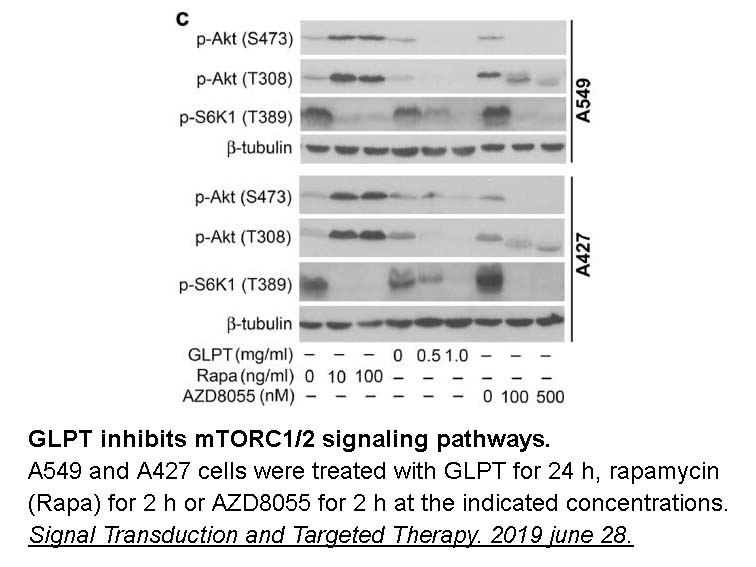 AZD8055