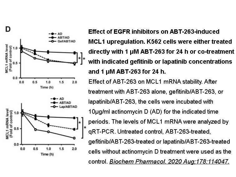 Lapatinib