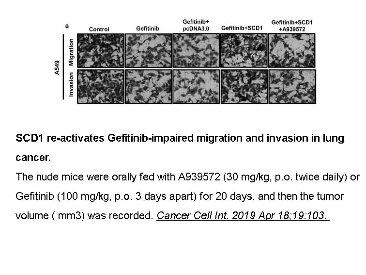 Gefitinib (ZD1839)