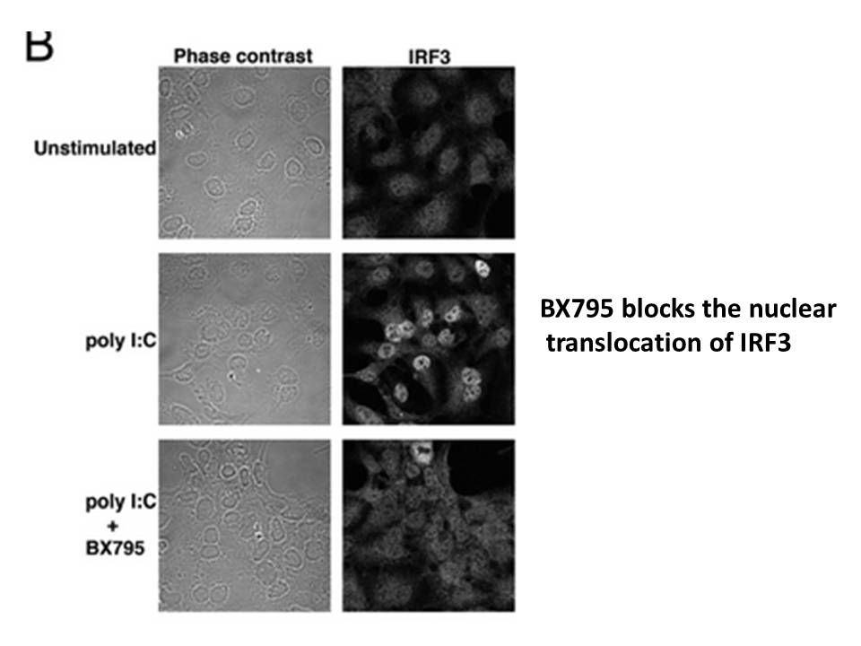 BX795