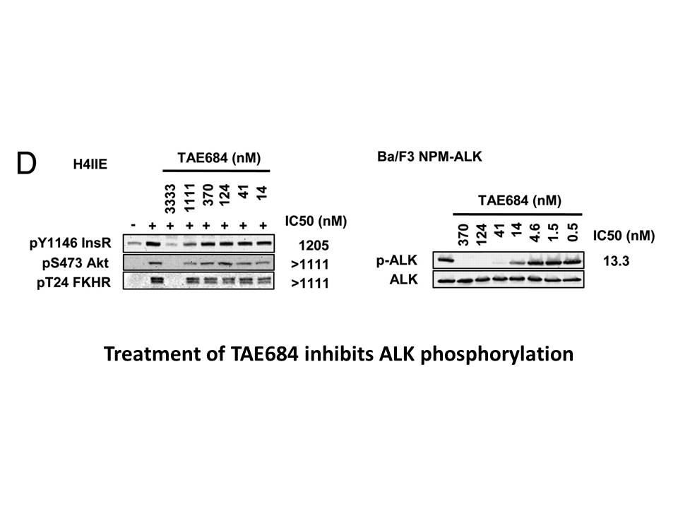 TAE684 (NVP-TAE684)