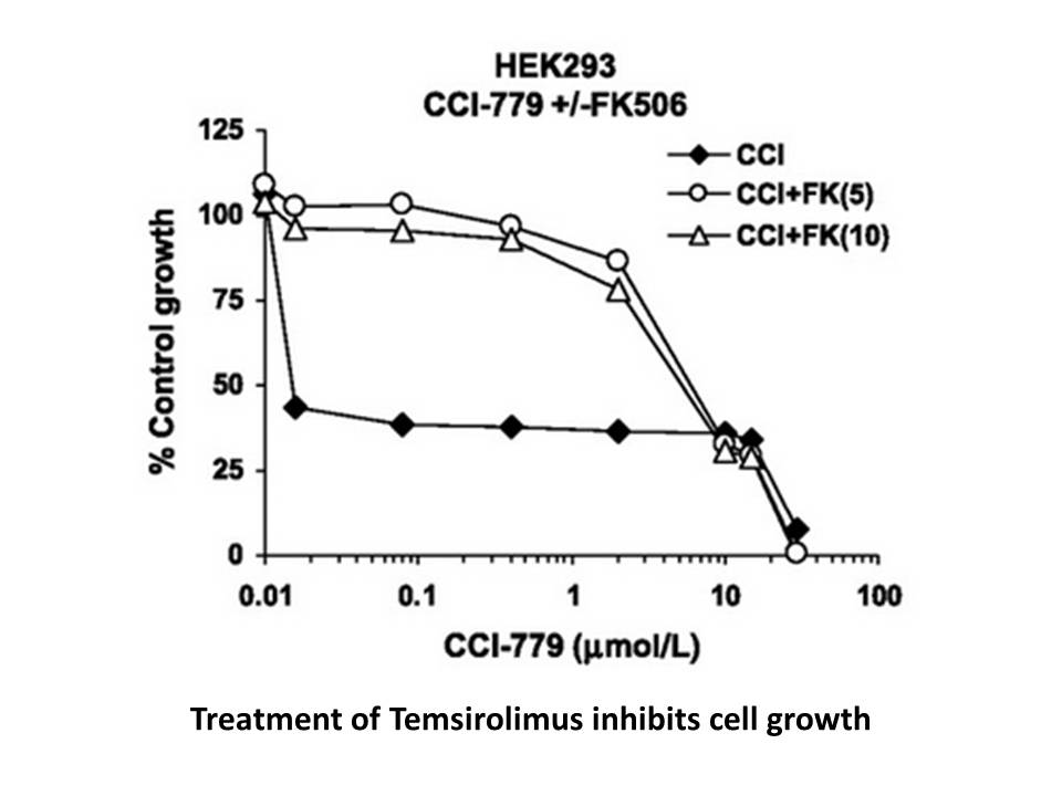 Temsirolimus