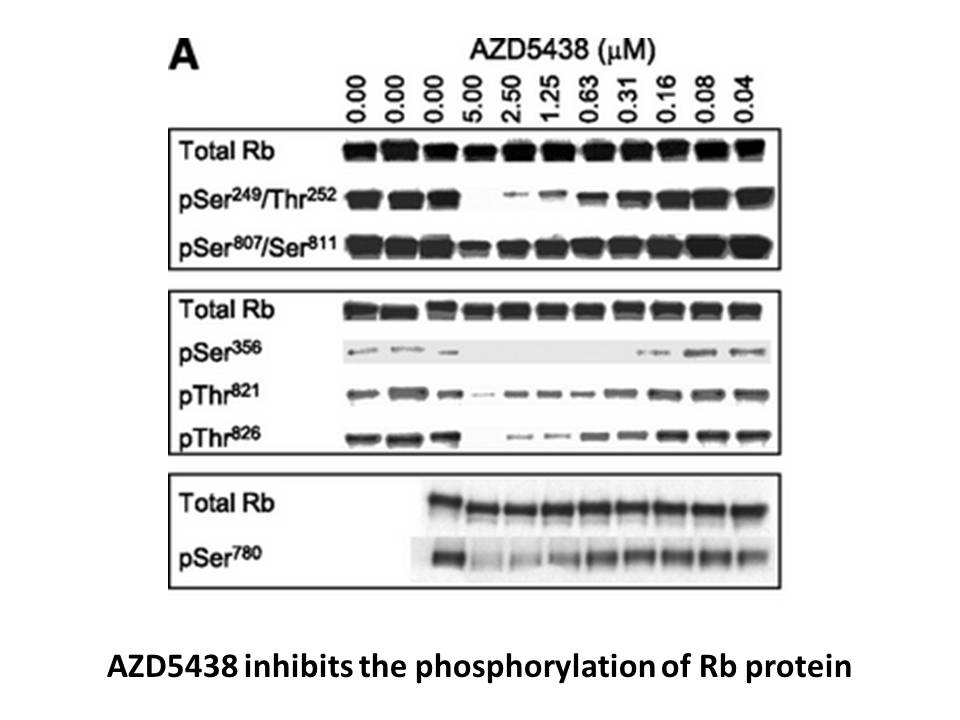 AZD-5438