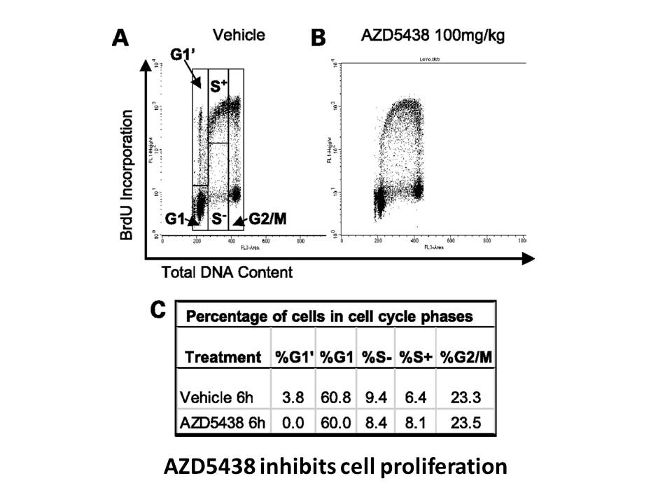 AZD-5438