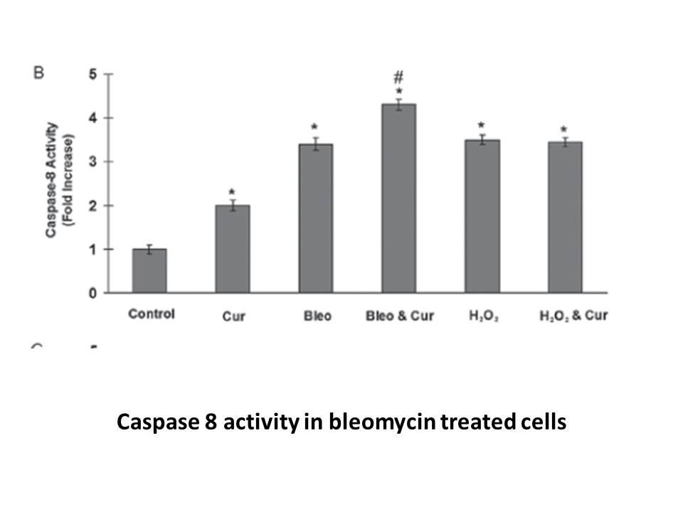 Bleomycin Sulfate