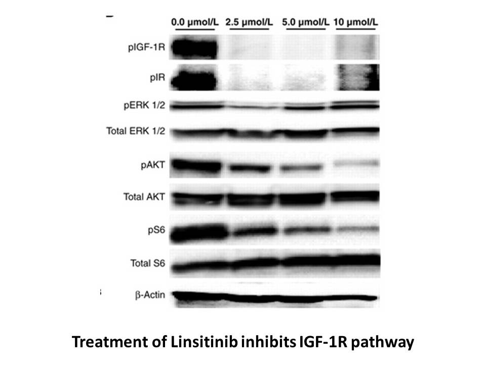 Linsitinib