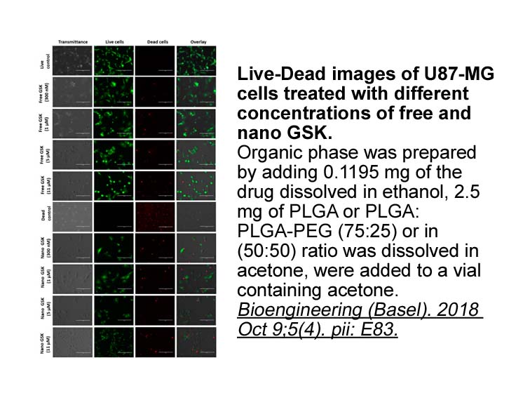 GSK461364