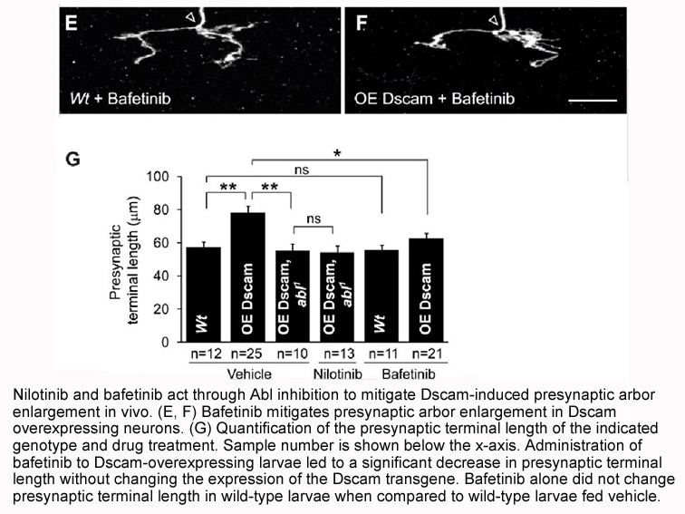 Bafetinib