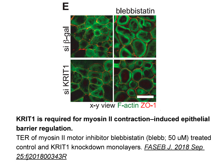 (-)-Blebbistatin