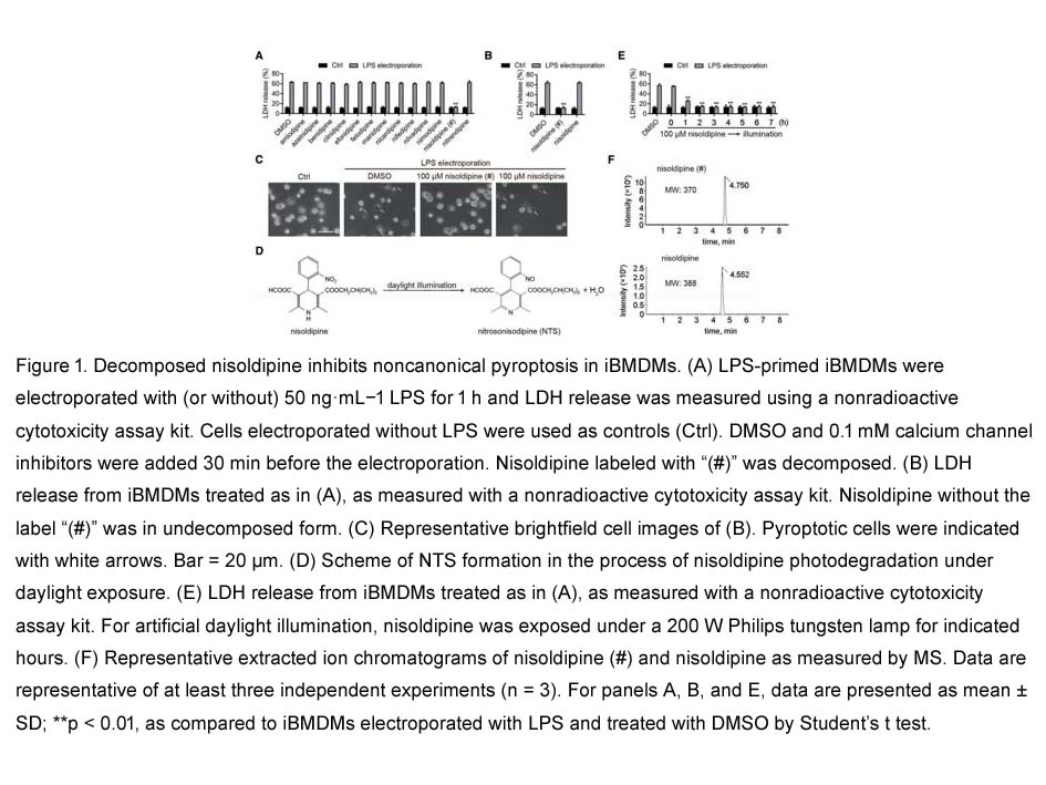 Nisoldipine