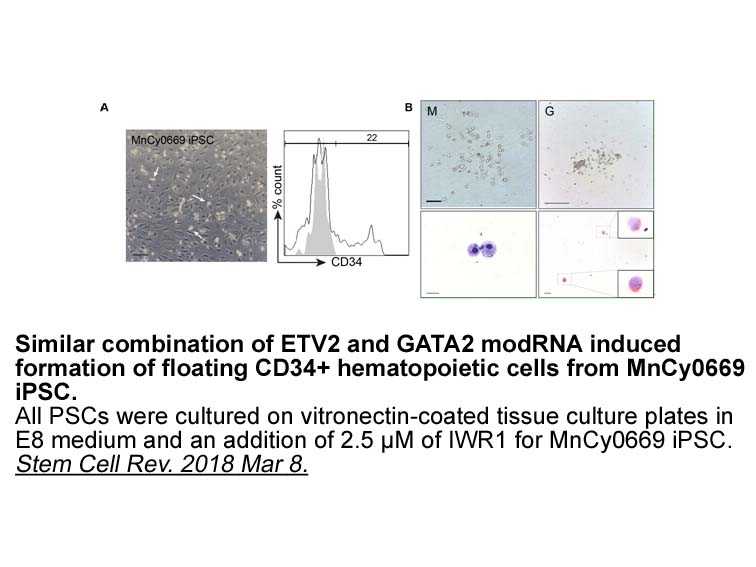 IWR-1-endo