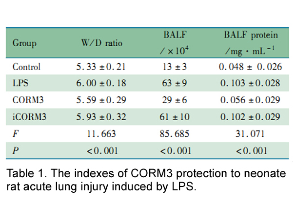 CORM-3