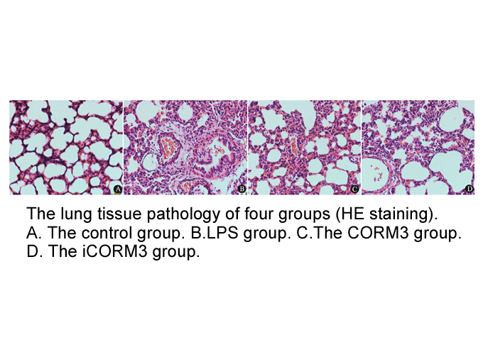 CORM-3