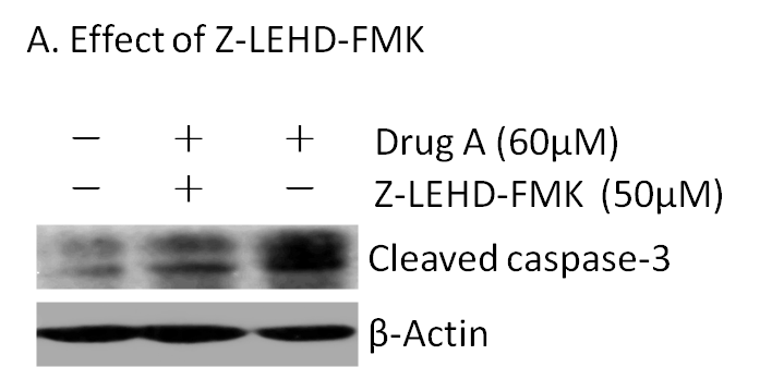 Z-LEHD-FMK Z-LEHD-FMK