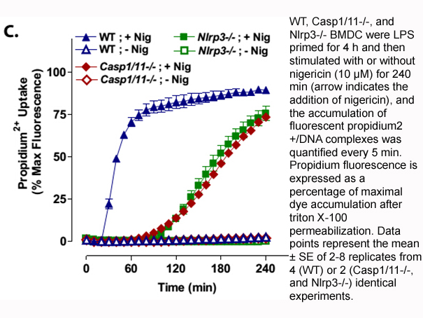 Nigericin sodium salt