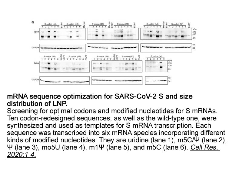 N1-MOM-Pseudo-UTP