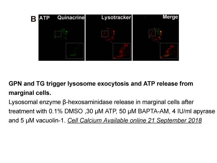 Vacuolin-1 Vacuolin-1