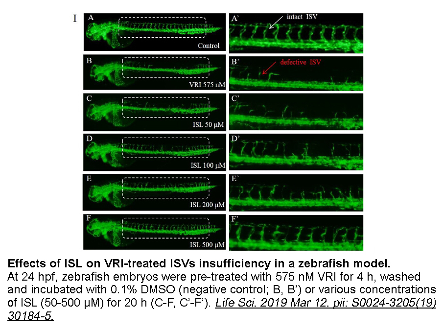 VEGFR Tyrosine Kinase Inhibitor II