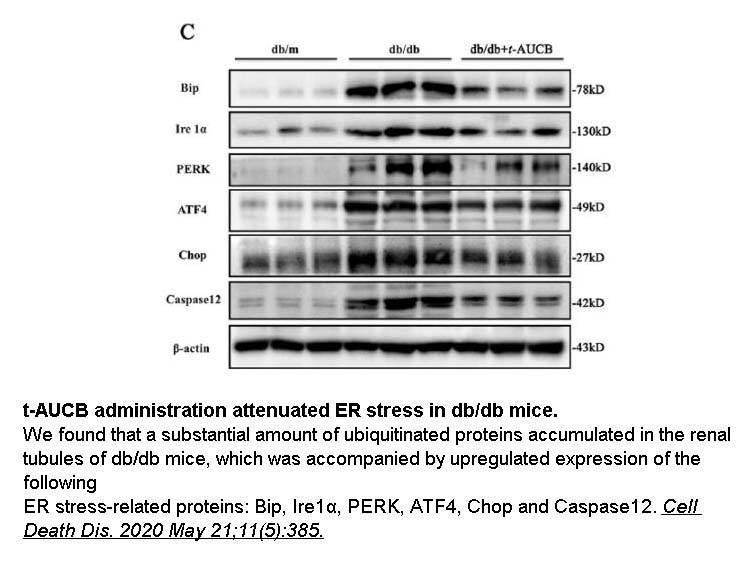 trans-AUCB