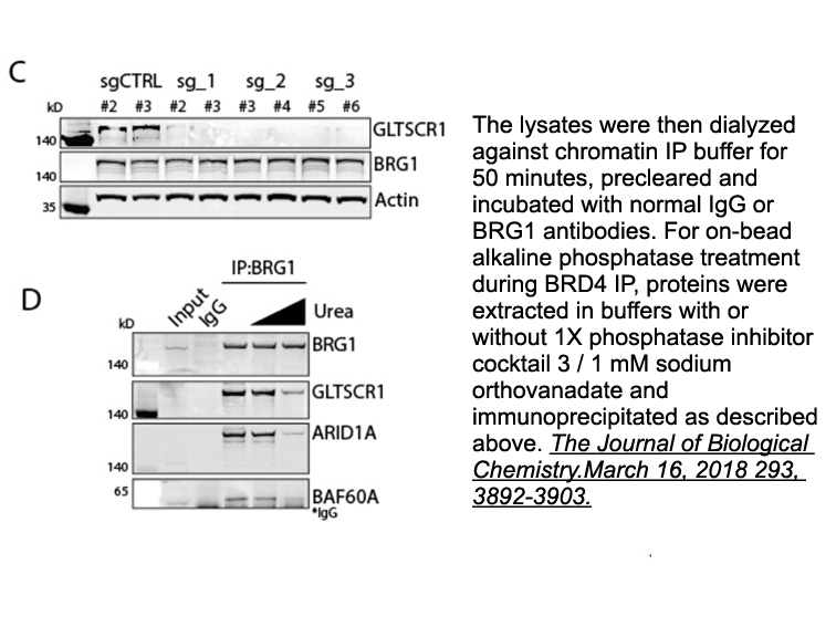 Phosphatase Inhibitor Cocktail 3 (100X in DMSO)