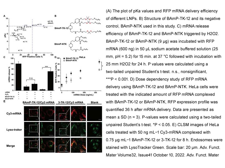 HyperScribe™ T7 High Yield Cy3 RNA Labeling Kit