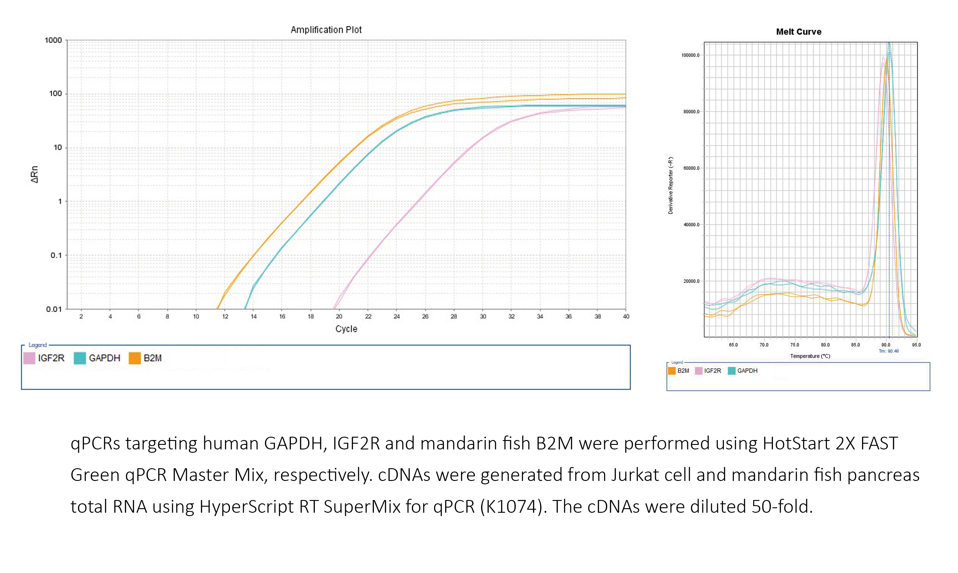 HotStart™ 2X FAST Green qPCR Master Mix