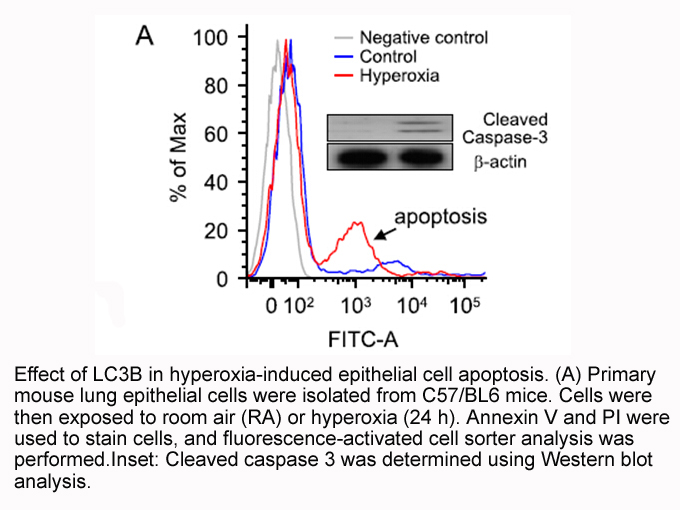 Annexin V-FITC/PI Apoptosis Kit