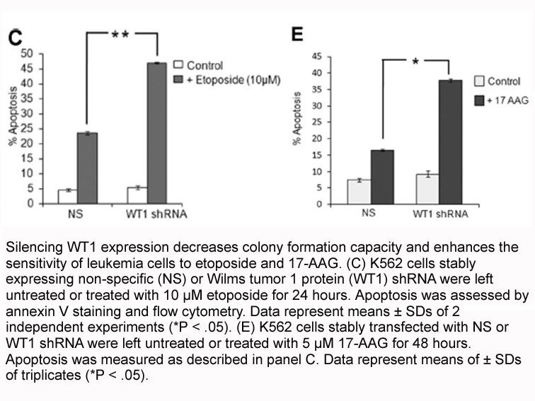 Annexin V-FITC/PI Apoptosis Kit