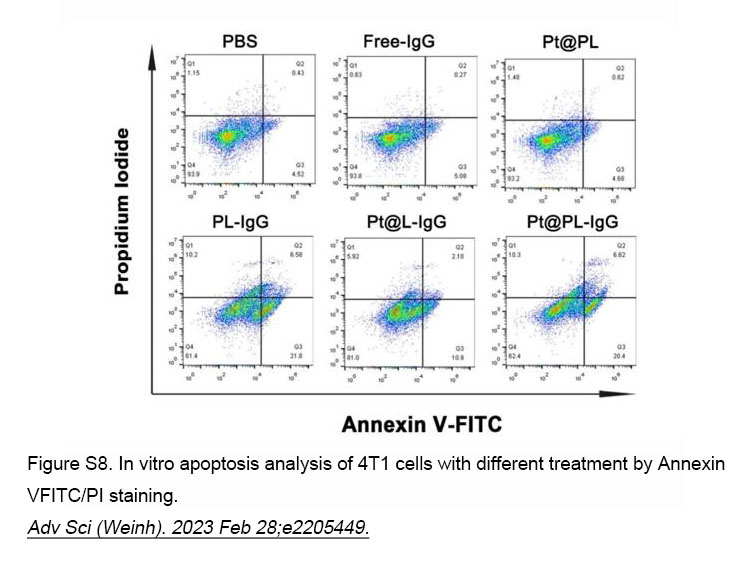 Annexin V-FITC/PI Apoptosis Kit