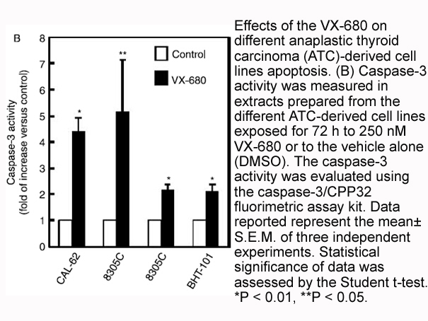 Caspase-3 Fluorometric Assay Kit