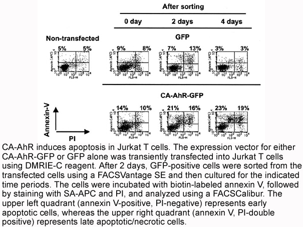 Annexin V-Biotin Apoptosis Kit