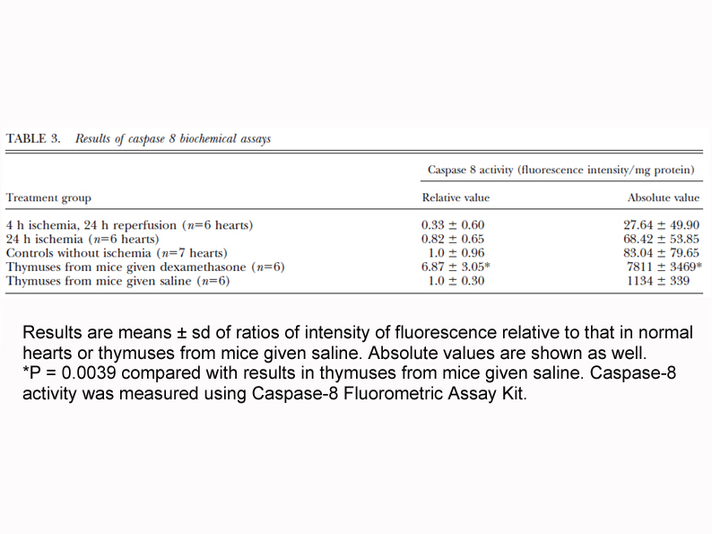 Caspase-8 Fluorometric Assay Kit