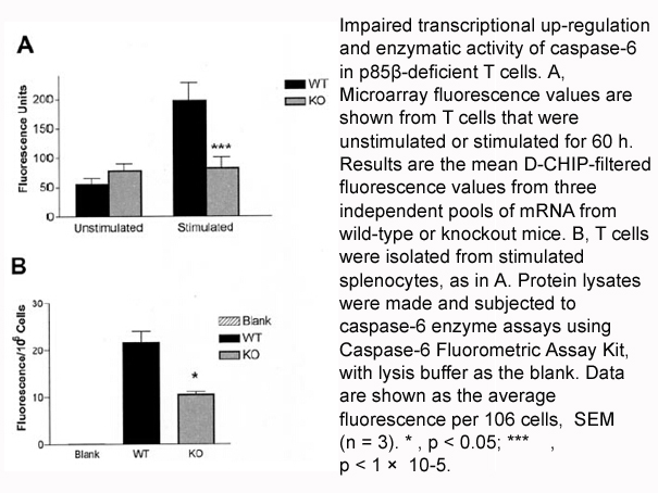 Caspase-6 Fluorometric Assay Kit