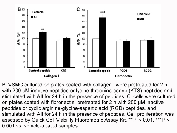 ApexBlue™ Quick Cell Viability Fluorometric Assay Kit