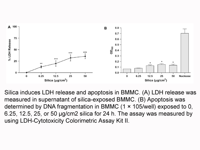 APExBIO LDHCytotoxicity Colorimetric Assay Kit II Detects